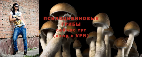 стаф Верхний Тагил